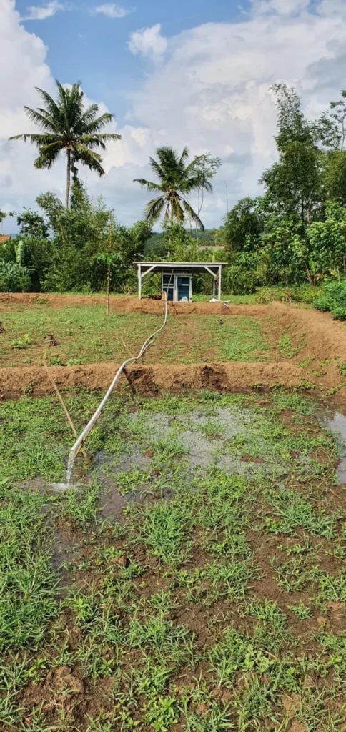 Solar array beside a cultivated field