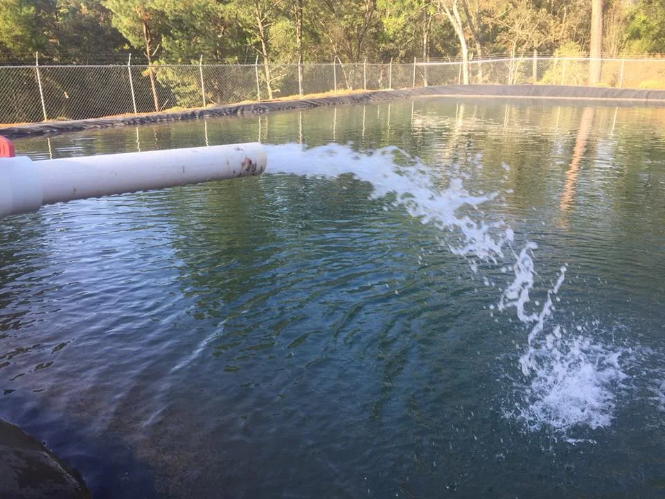 Water discharged into a pond from a solar pump