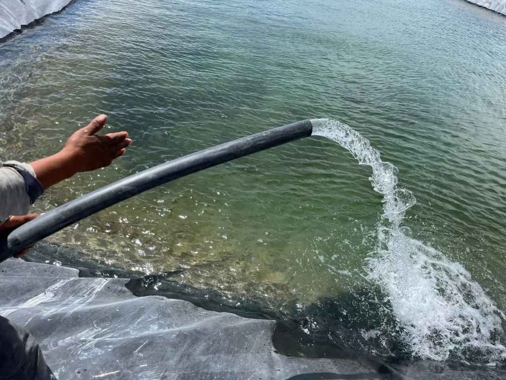 Water discharged from a solar pumping system